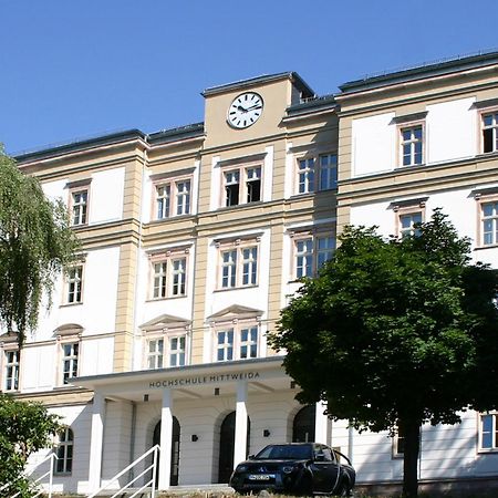 Apartment Tenx Mittweida Zewnętrze zdjęcie